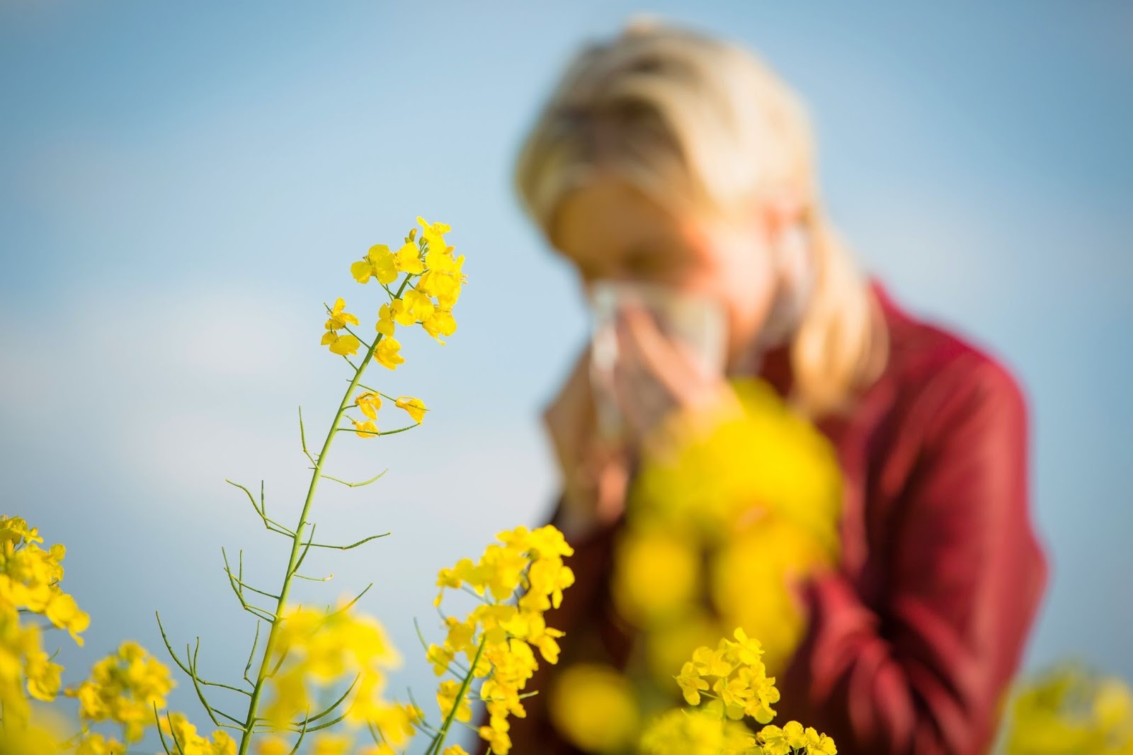 A woman in a field of flowers blowing her nose