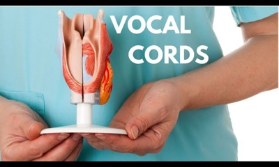 vocal cords
