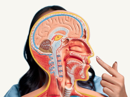 The Nose Knows: How Your Sense of Smell Affects Your Health