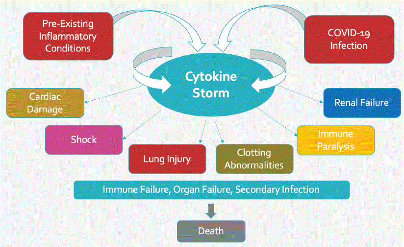 Cytokine storm framework