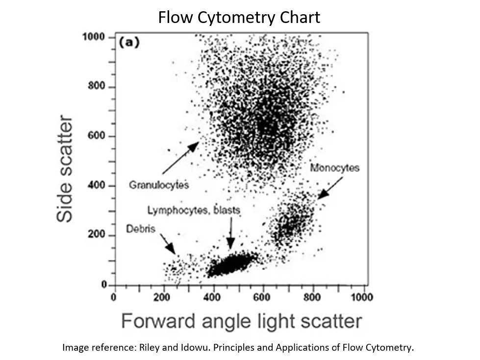 flow cytometry